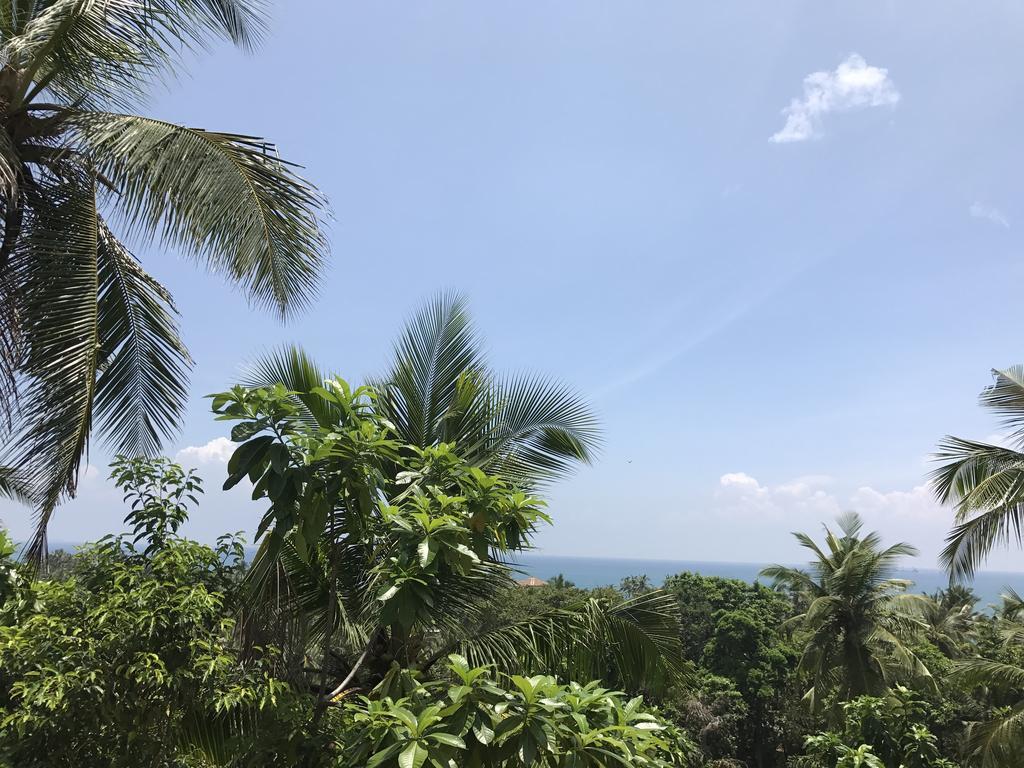 Lanka Eco Village ウナワトゥナ エクステリア 写真