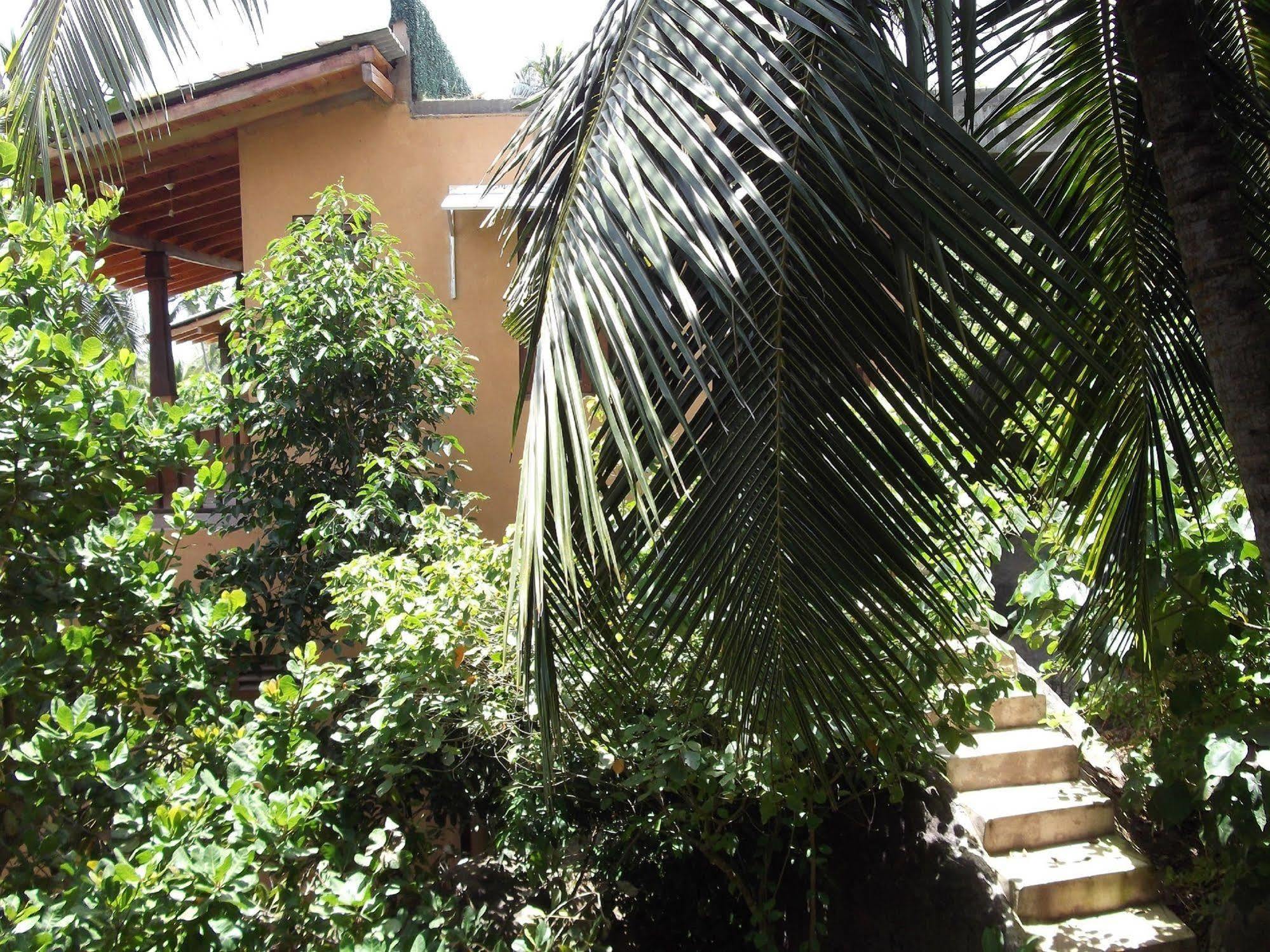 Lanka Eco Village ウナワトゥナ エクステリア 写真