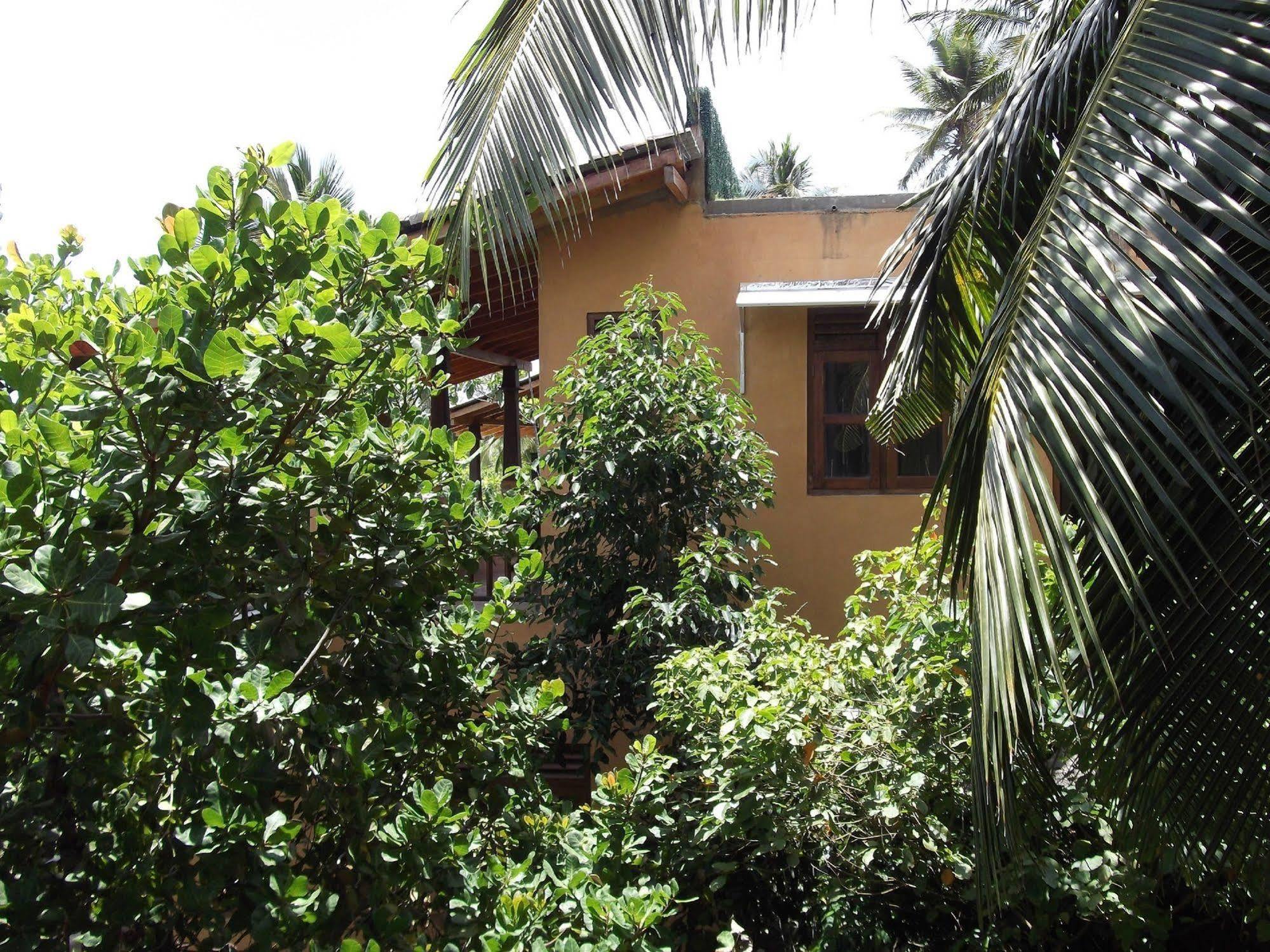 Lanka Eco Village ウナワトゥナ エクステリア 写真